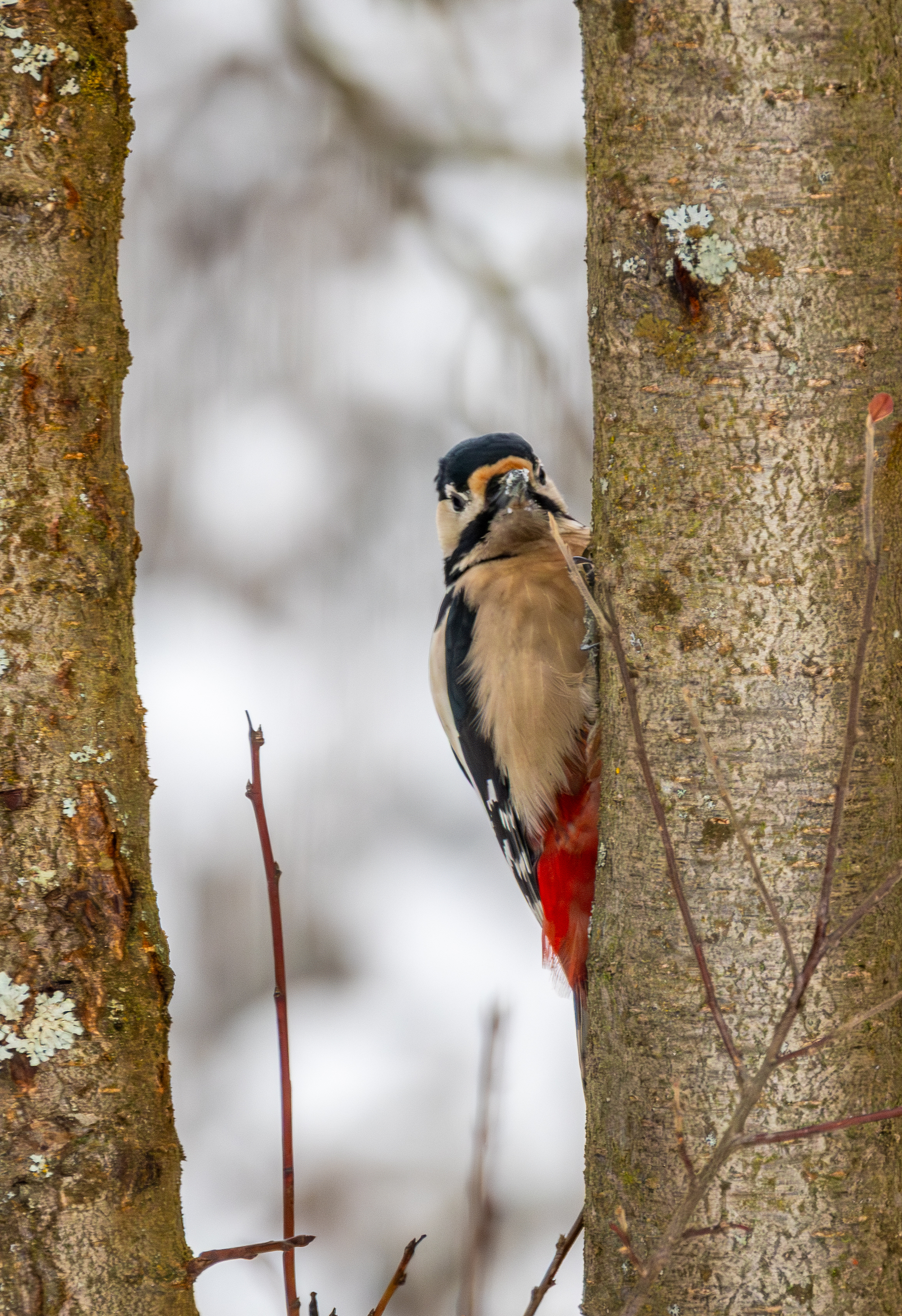 Stonhenge in Tiefenpölz