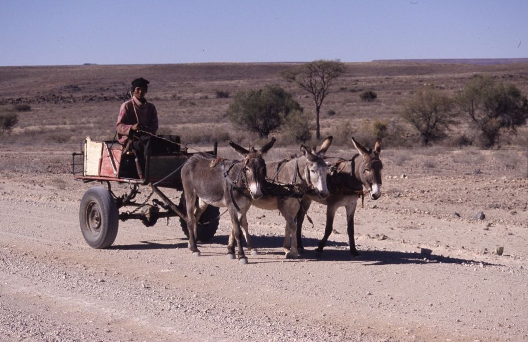 namib