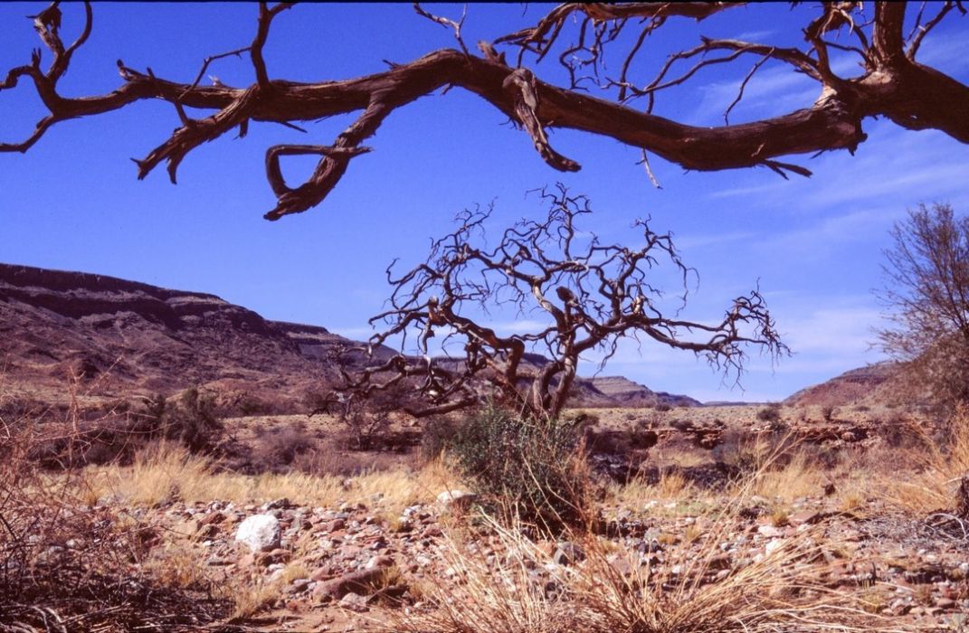 namib