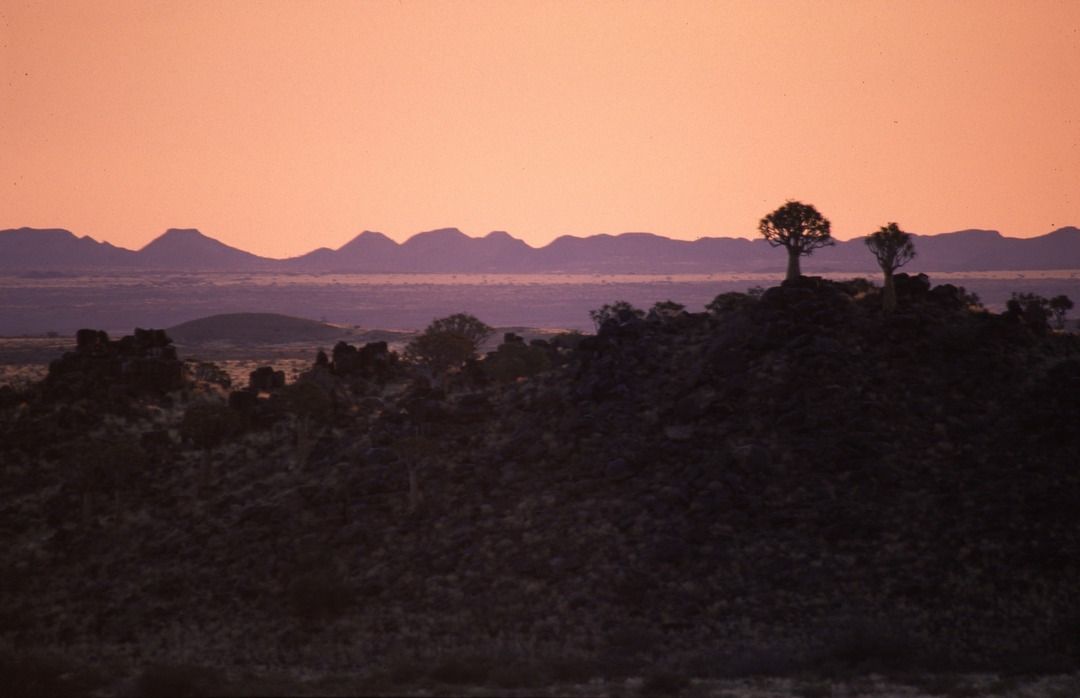 namib