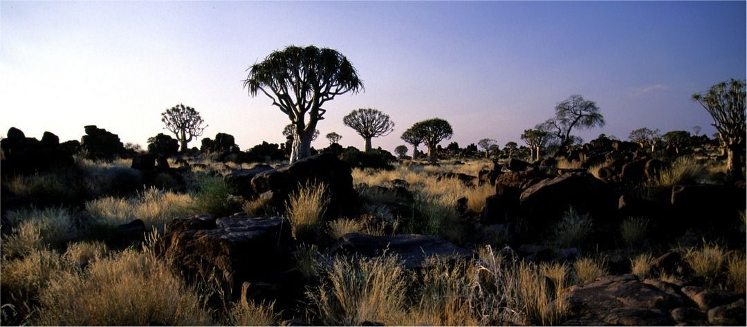 namib