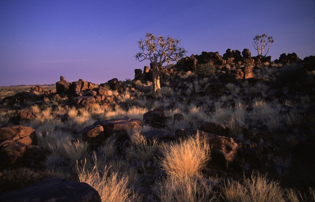 namib