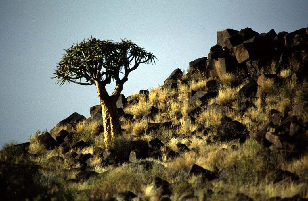 namib