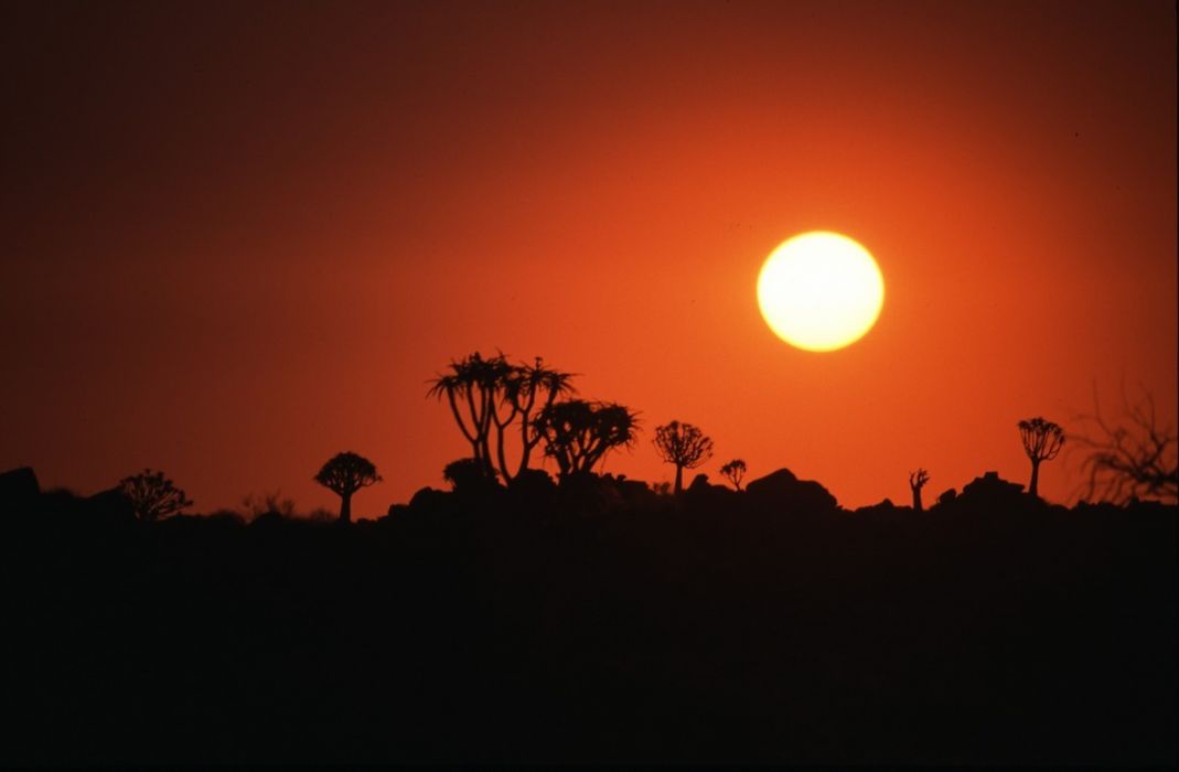 namib