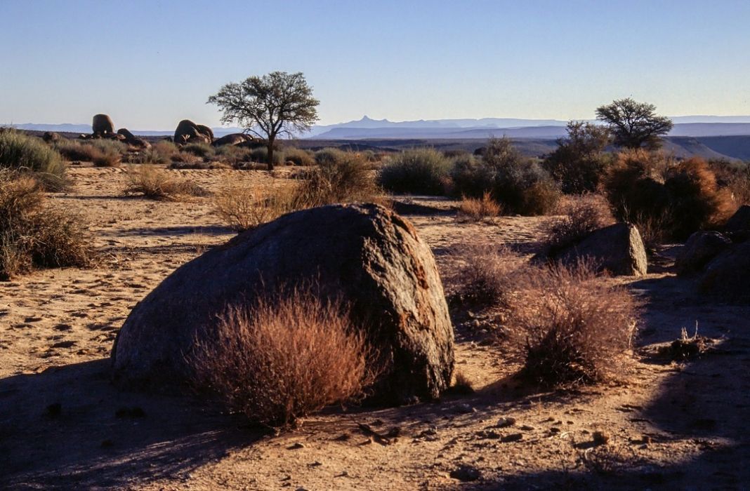 namib