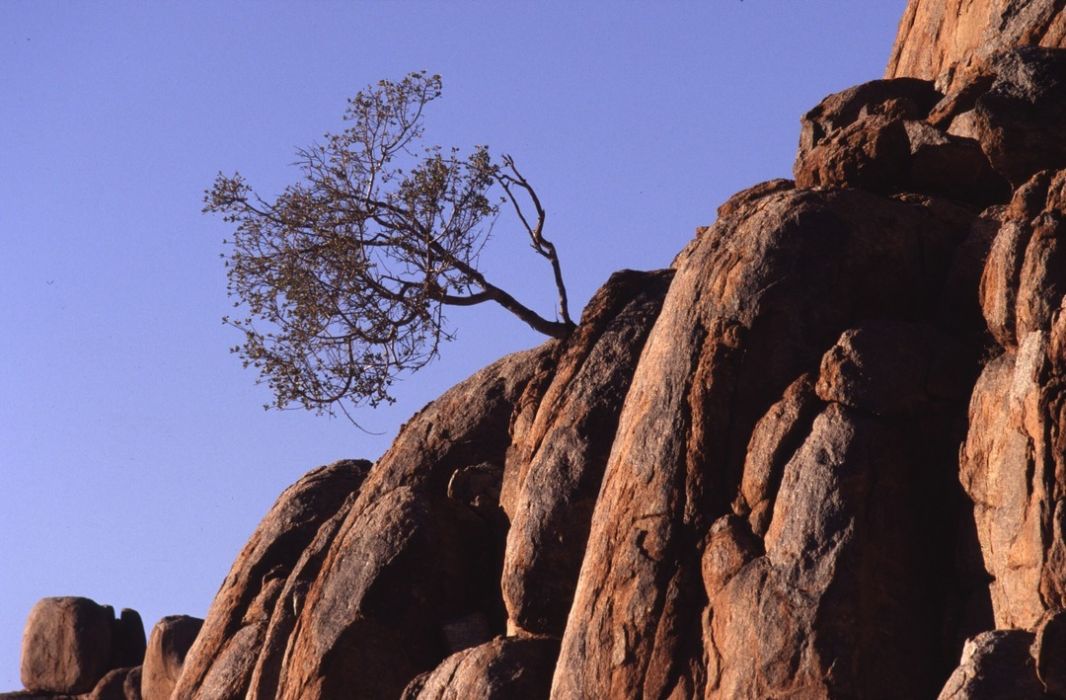 namib