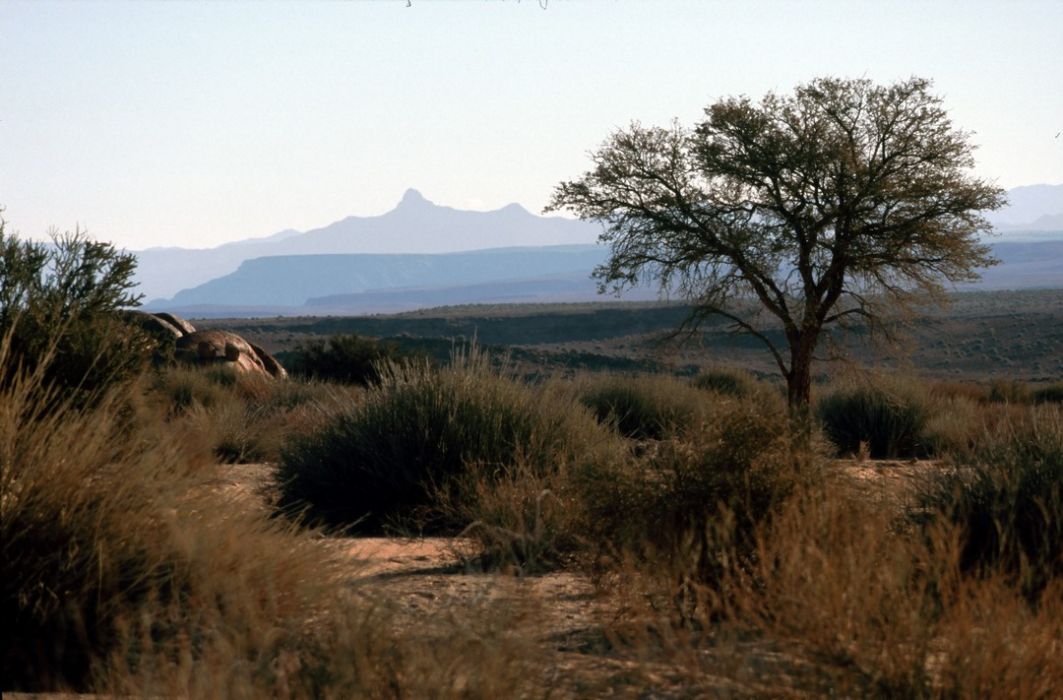 namib