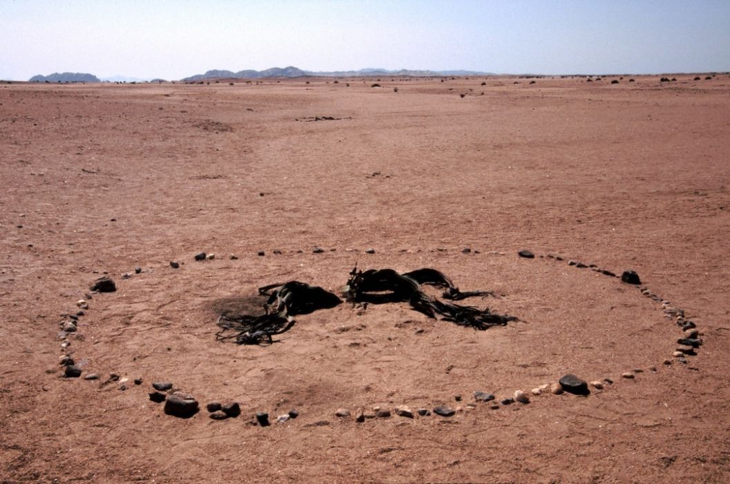 namib