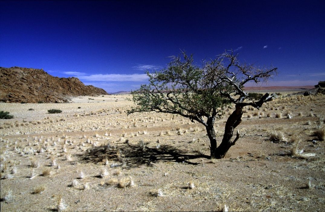 namib