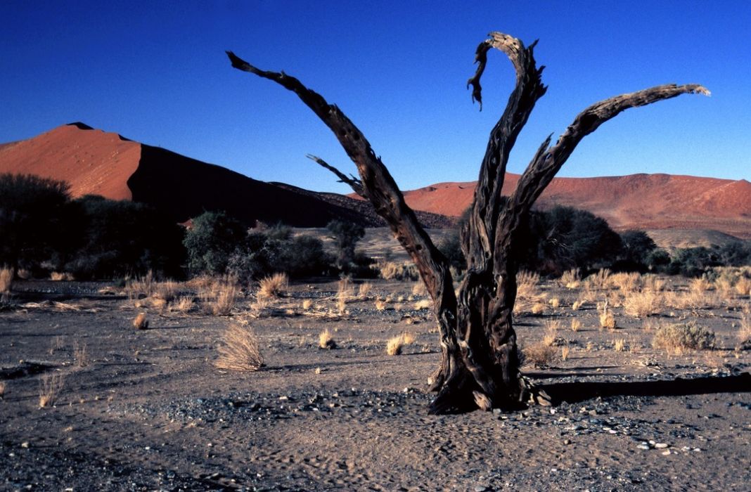 namib