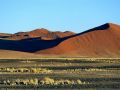 namib