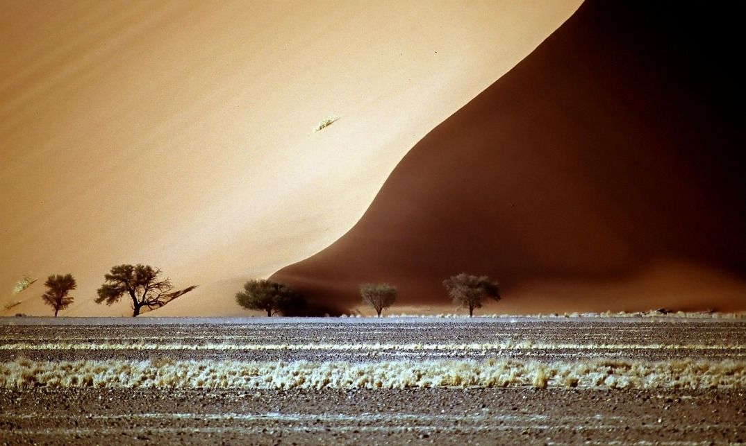 namib