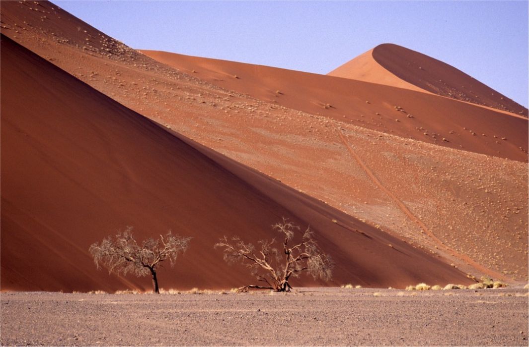 namib