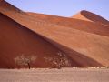namib