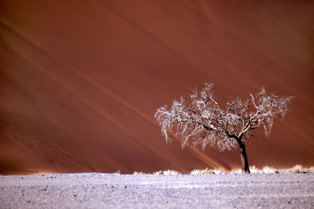 namib