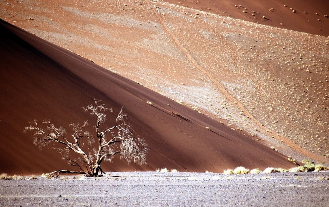 namib