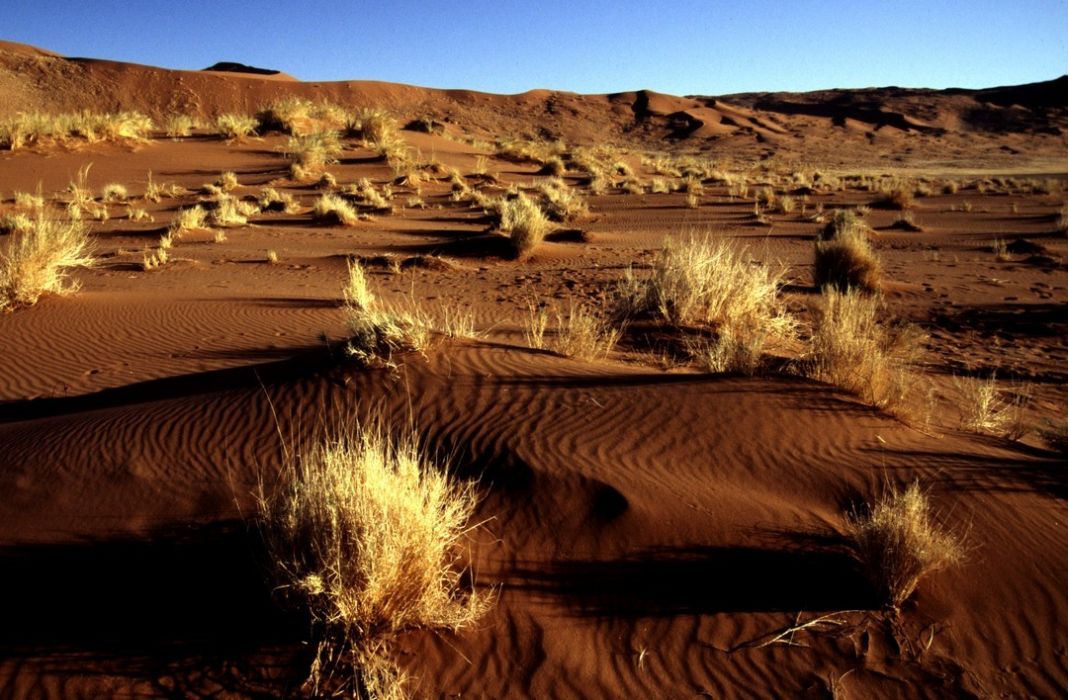 namib