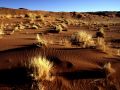 namib