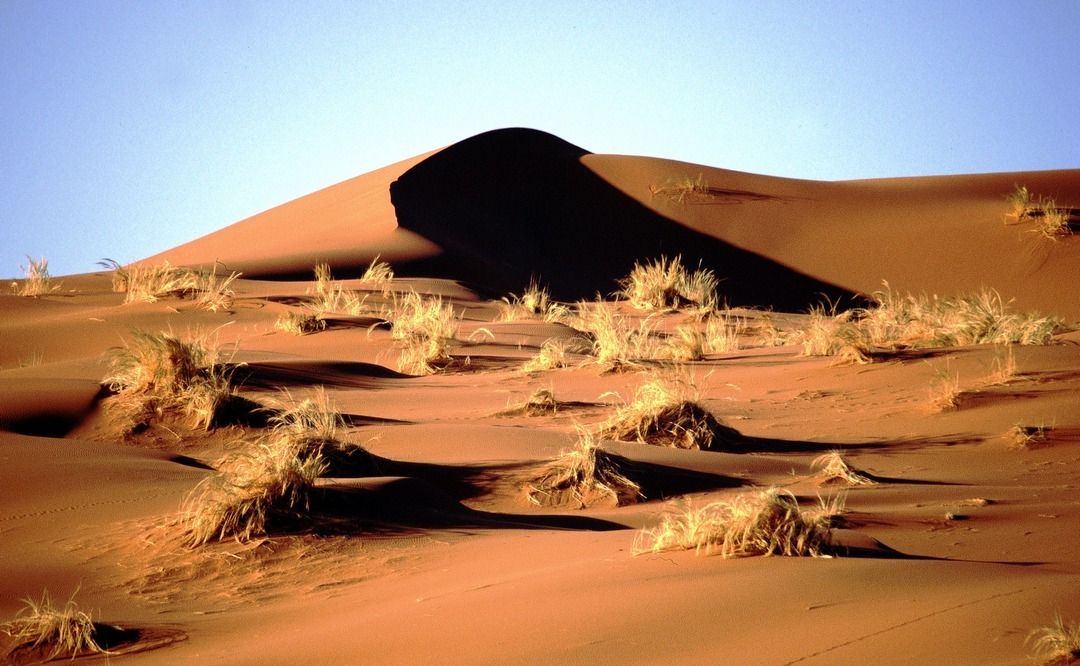 namib