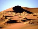 namib