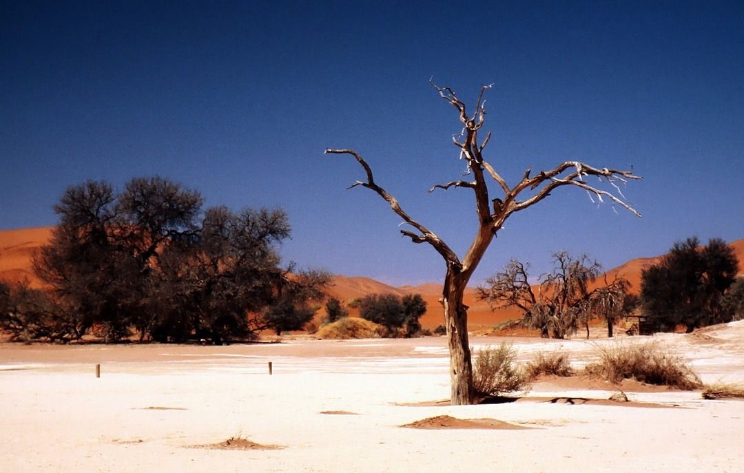 namib