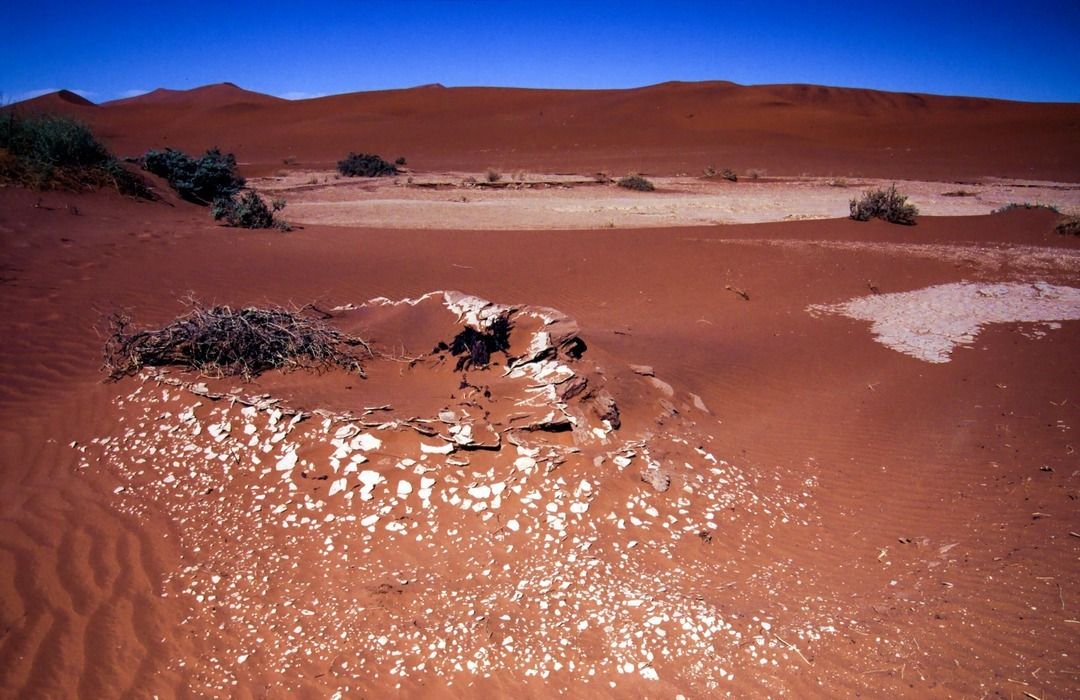 namib