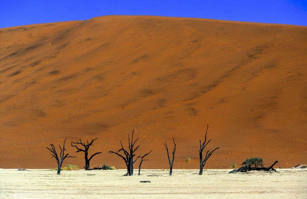 namib