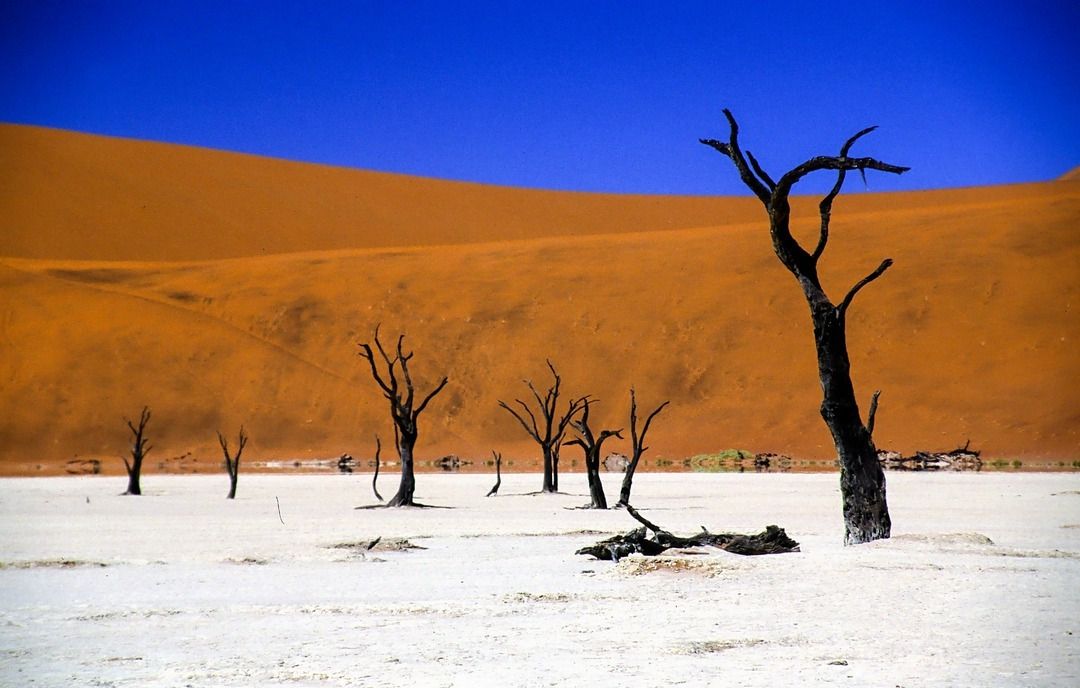 namib