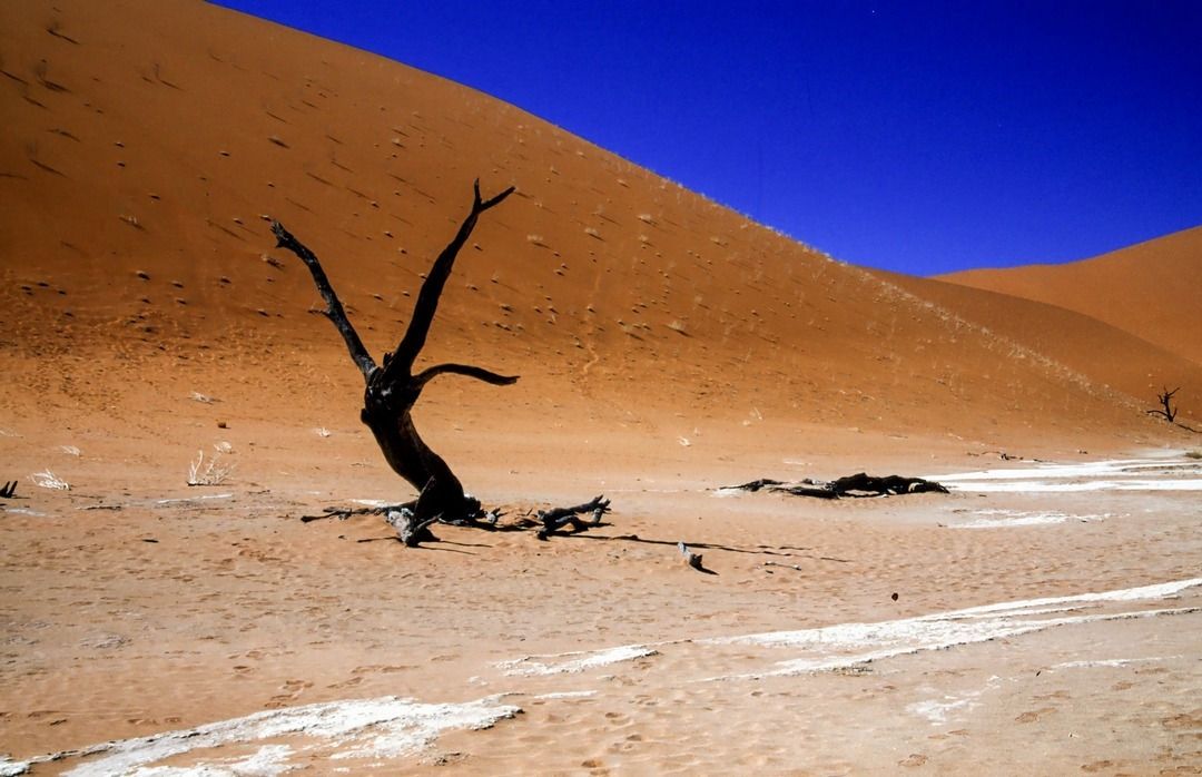 namib