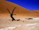 namib