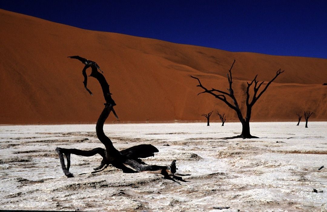 namib