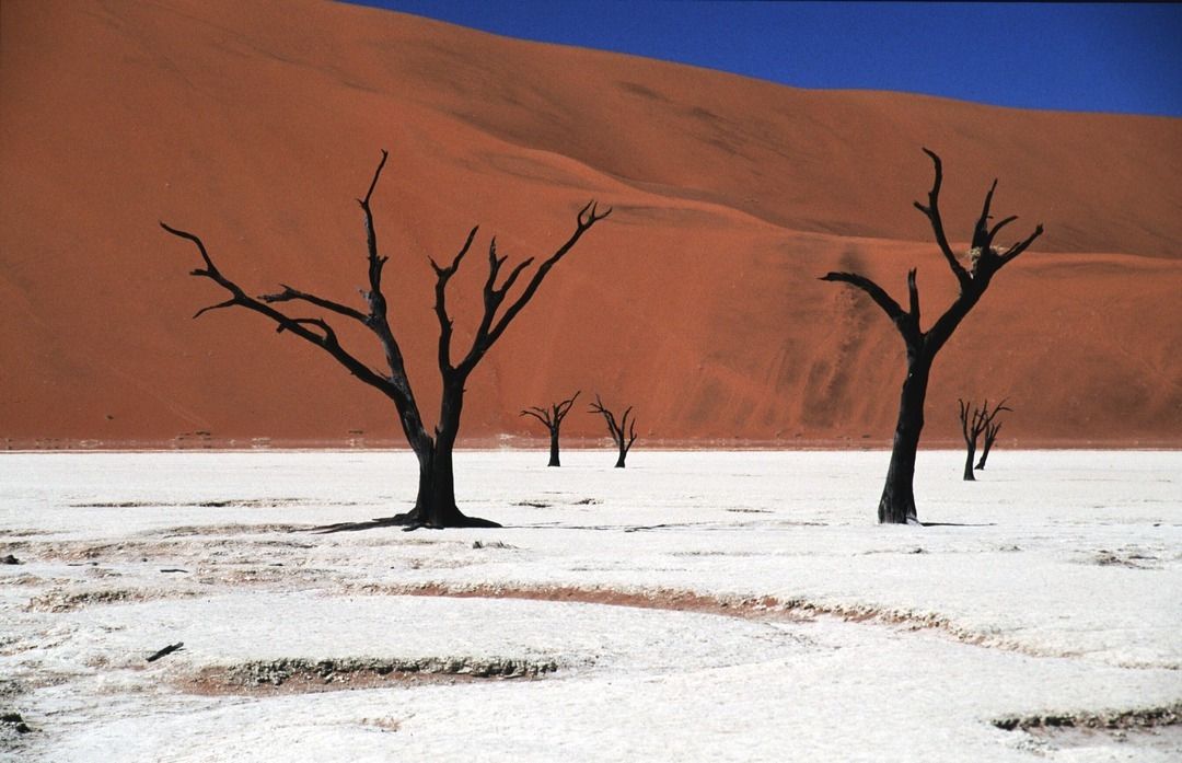 namib