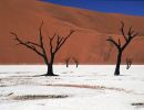 namib