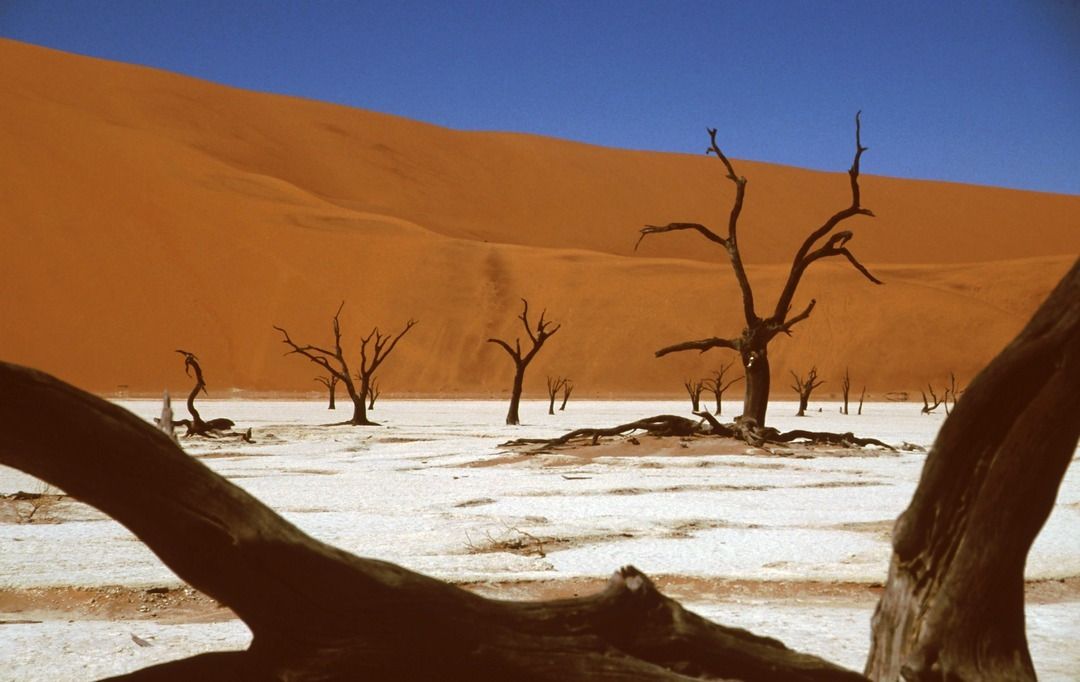 namib