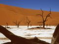 namib
