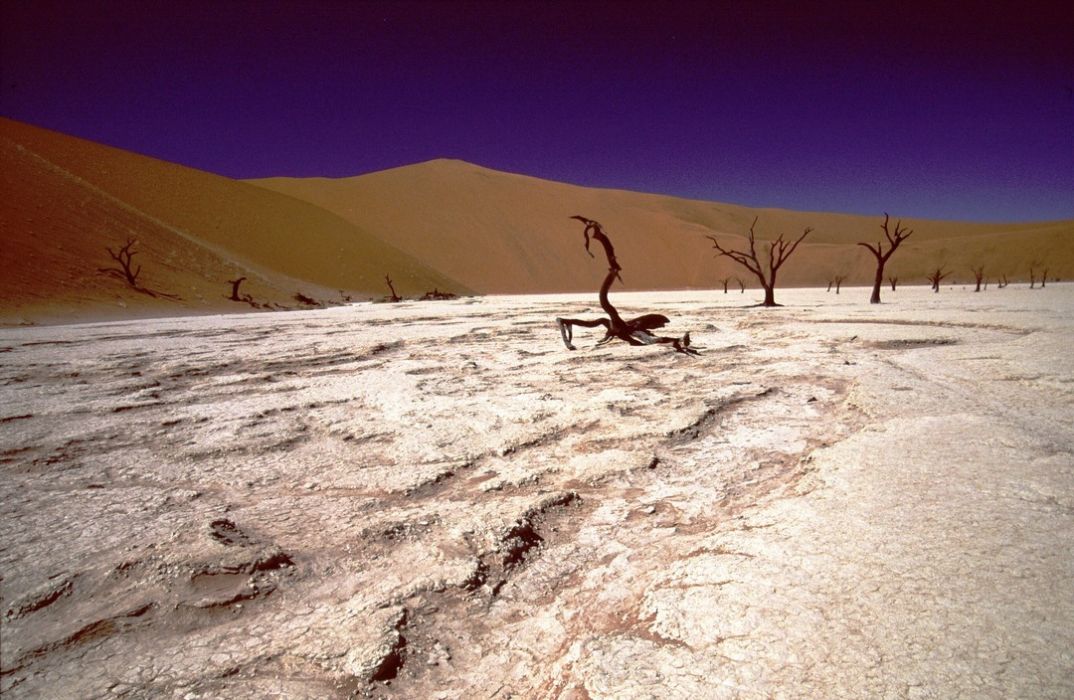 namib