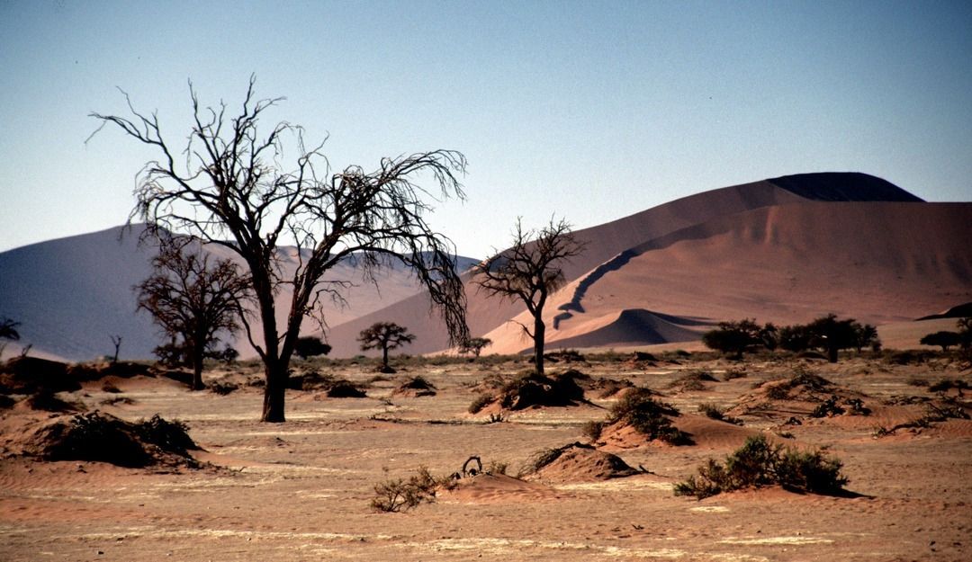 namib