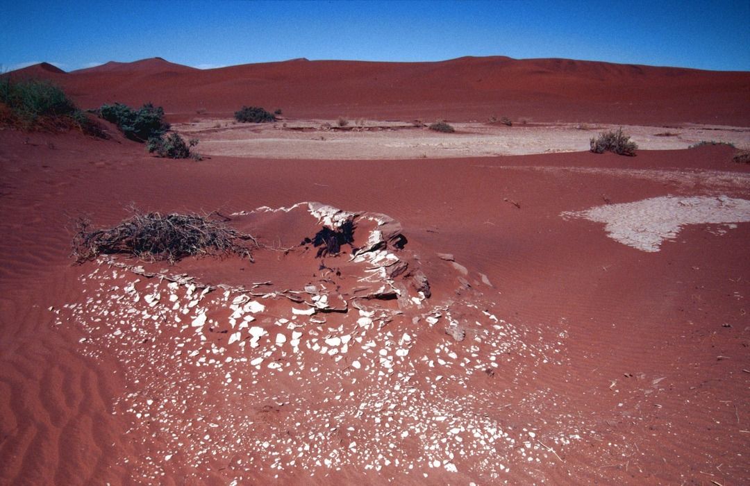 namib