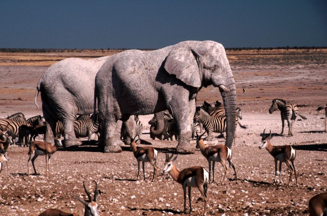 namib