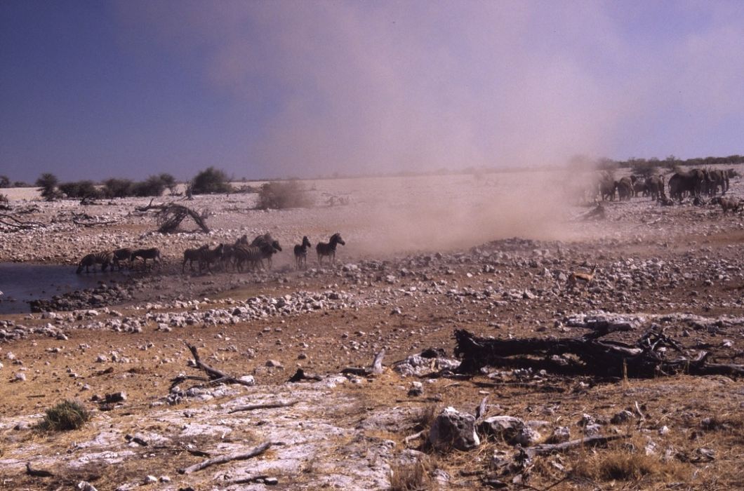 namib