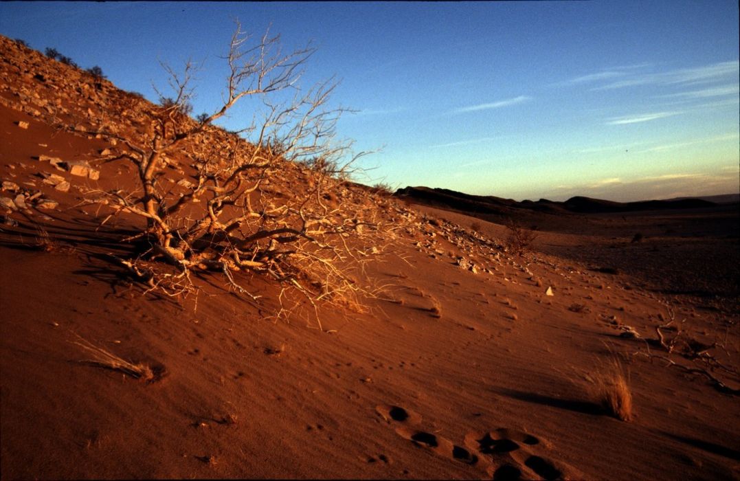 namib