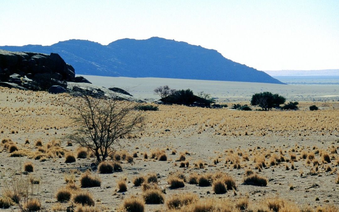 namib