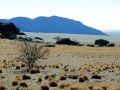 namib