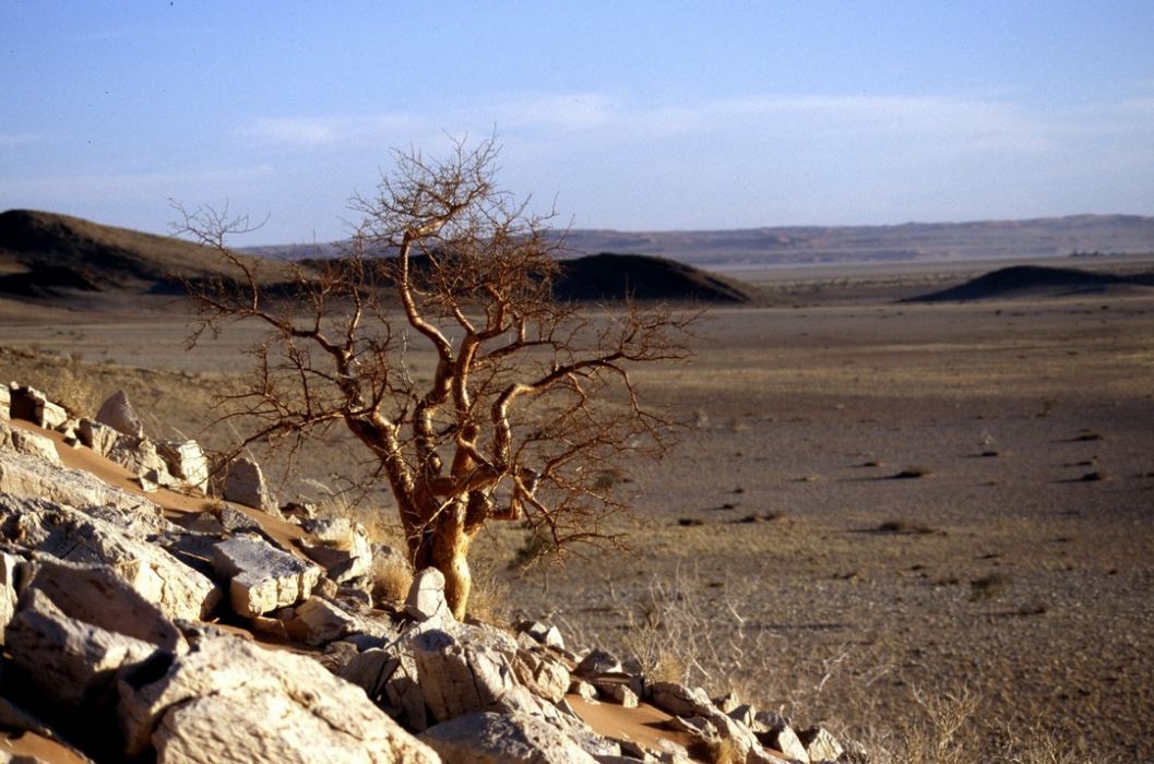 namib