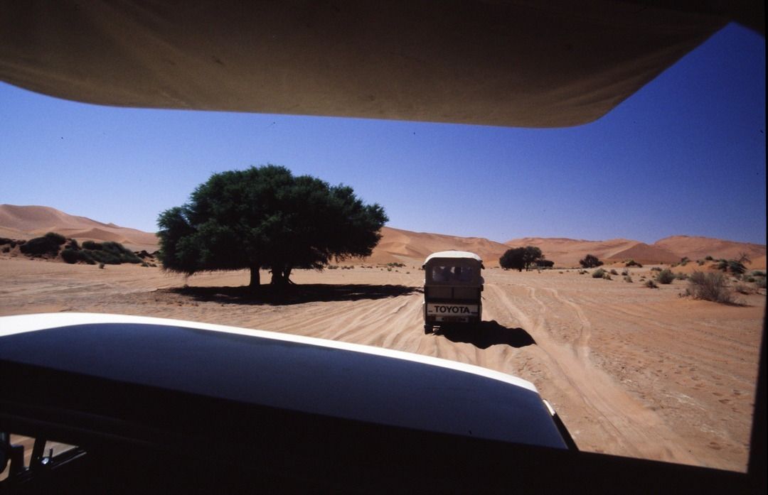 namib