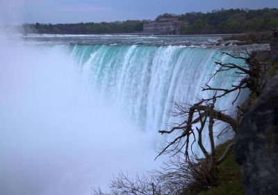 Niagara