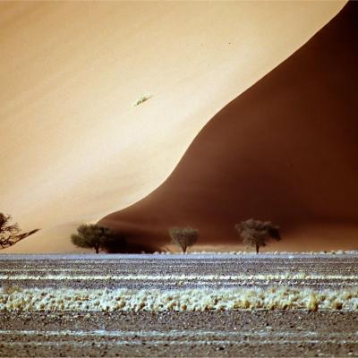 Namib 002