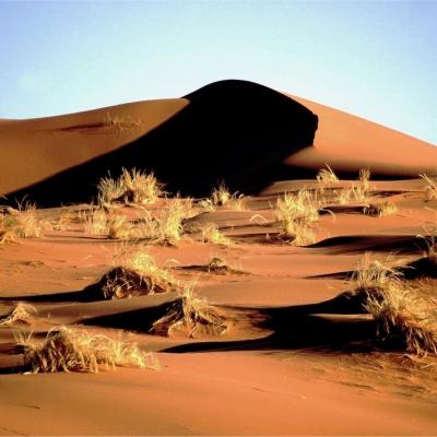 Namib 014