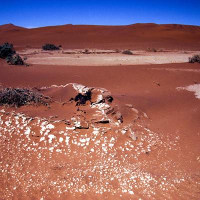 Namib 028