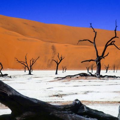 Namib 029